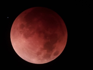 Lunar Eclipse 2022-05-15